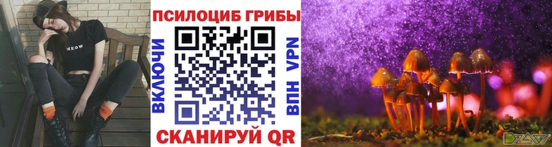 Псилоцибиновые грибы прущие грибы Осташков